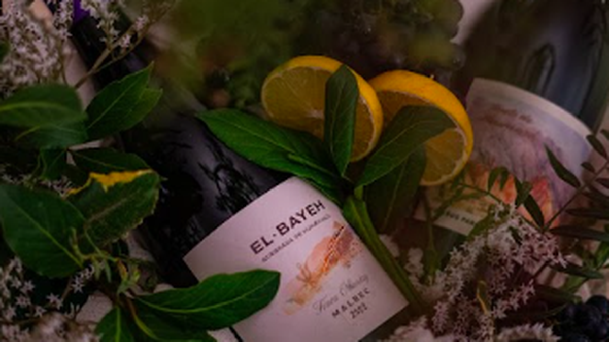 presentacion-oficial-del-festival-“la-vendimia-de-el-bayeh” presentacion-oficial-del-festival-“la-vendimia-de-el-bayeh”