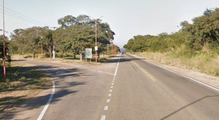 mataron-a-tiros-a-tres-caballos-a-la-vera-de-la-ruta-provincial-no-8 mataron-a-tiros-a-tres-caballos-a-la-vera-de-la-ruta-provincial-no-8