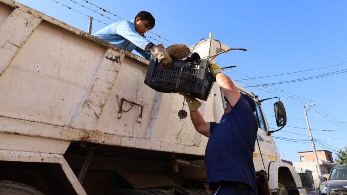 descacharrado dengue san salvador jujuy
