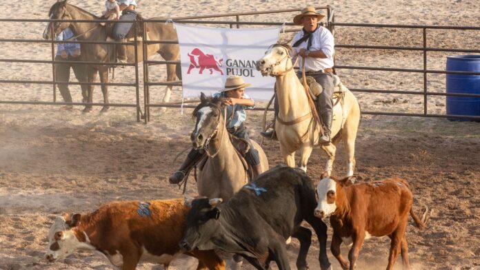 segundo remate bovinos jujuy San Salvador