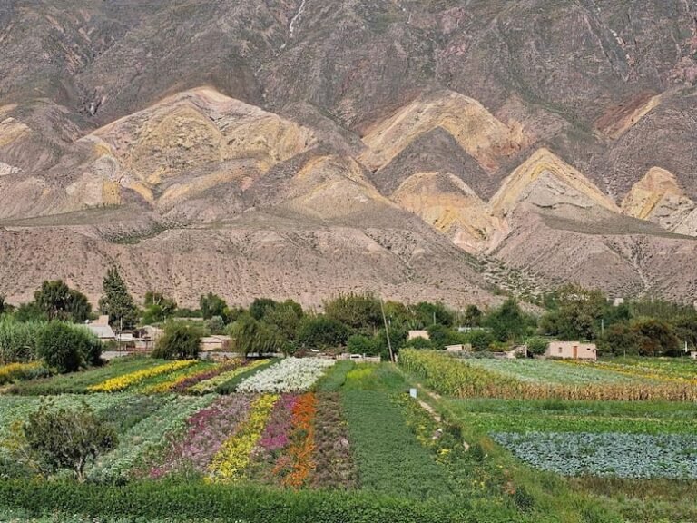 La Paleta del Pintor y el paisaje agrícola de Maimará, Jujuy