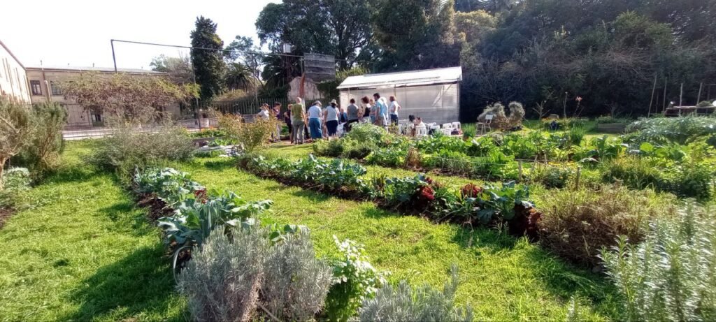 Huertas comunitarias en Jujuy: apoyo técnico en Alto Comedero