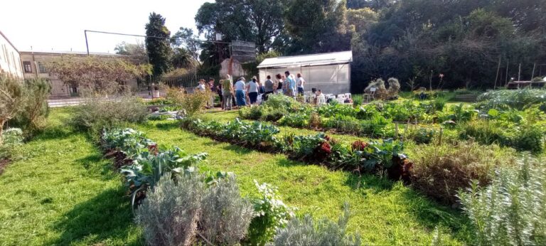 Huertas comunitarias en Jujuy con acompañamiento técnico en Alto Comedero