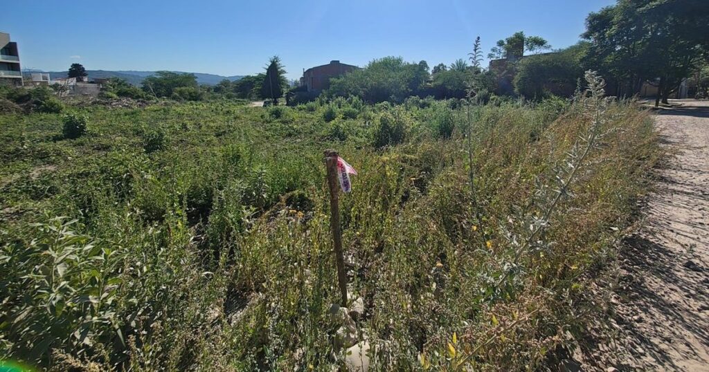 Jujuy subasta lotes en Alto Padilla por sistema electrónico
