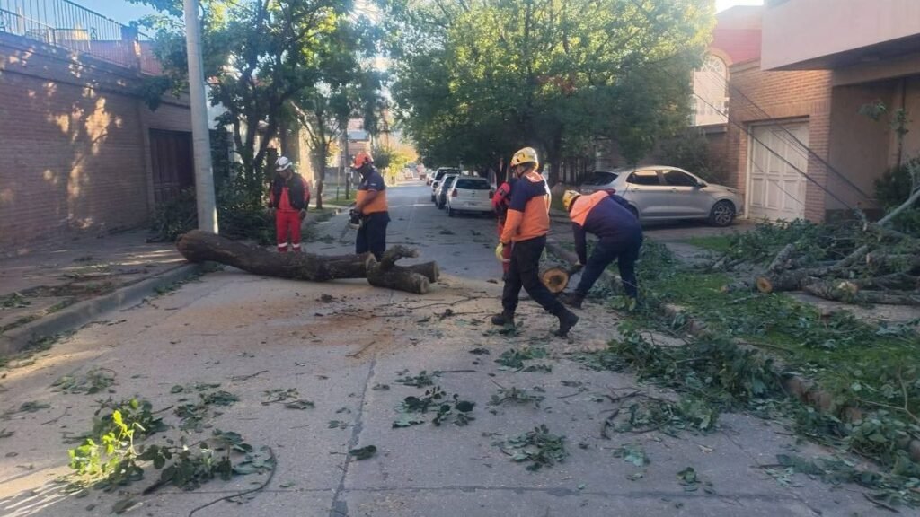 San Salvador de Jujuy: asistencia tras caída de árboles por el viento