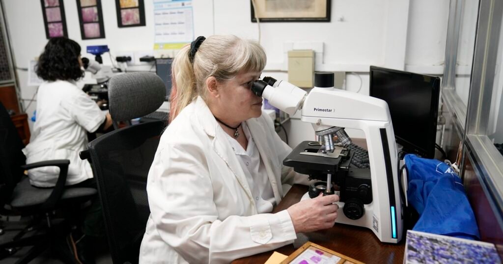 El Cuerpo Médico Forense cumple 130 años: cómo funciona el laboratorio de autopsias