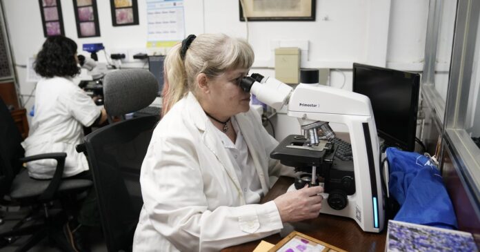 Cuerpo Médico Forense: 130 años de autopsias y pericias para la J