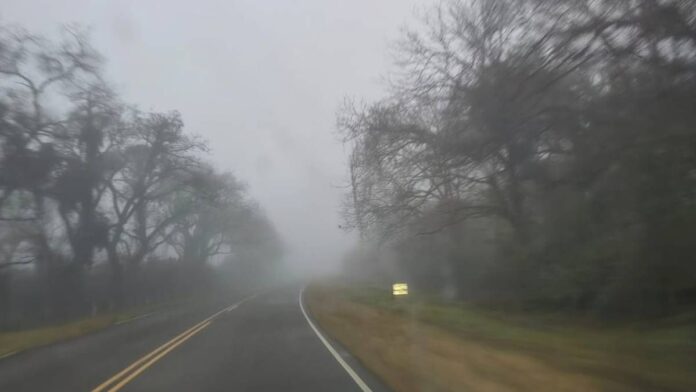 Niebla en Jujuy: Alerta por visibilidad reducida en Los Paños y r