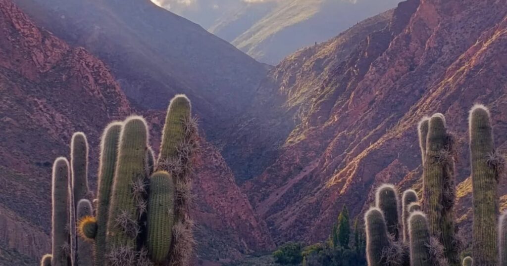 Catua marca 0°C y Huacalera llega a 20°C esta tarde en Jujuy