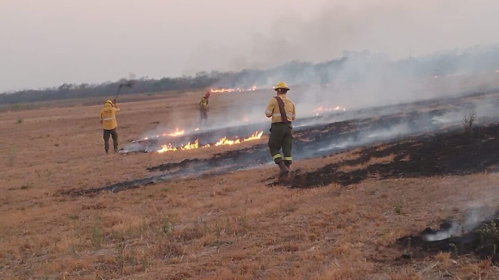 Frenan 19 incendios en Jujuy bajo ráfagas de viento Zonda