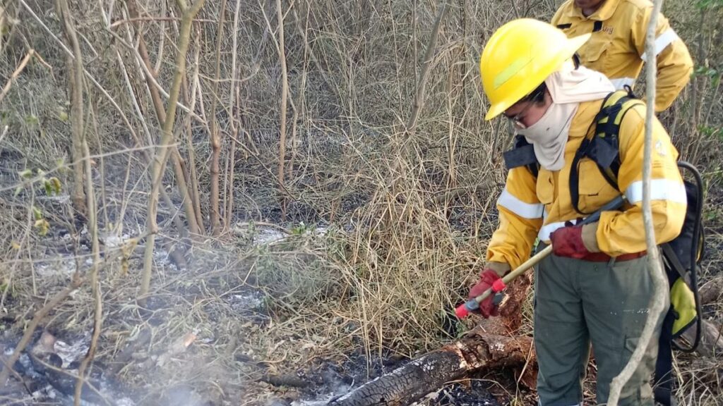 Alerta naranja en Jujuy: guardias activas tras 14 incendios