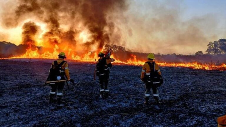 90 brigadistas combaten incendios en yungas de Jujuy