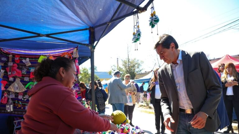 Feria de Santa Anita en Alto Comedero: tradición y comunidad