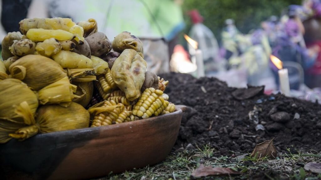 Agenda cultural en Jujuy: más de treinta propuestas por la Pachamama y el charango