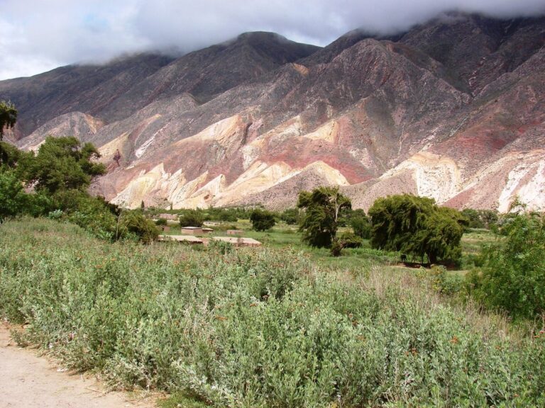 El tiempo en Jujuy hoy 6 de agosto: pronóstico y temperaturas