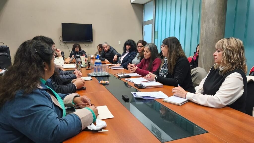 Buscan fortalecer las leyes de protección de menores en Jujuy