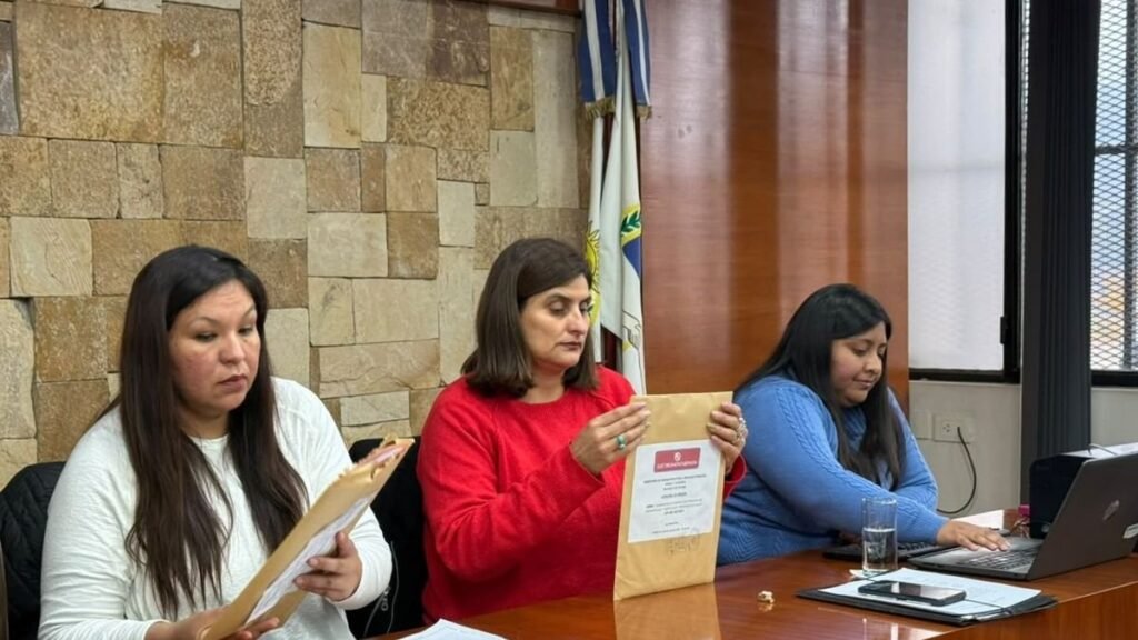 Puesto Viejo: 120 hogares de los Manantiales tendrán luz y alumbrado LED