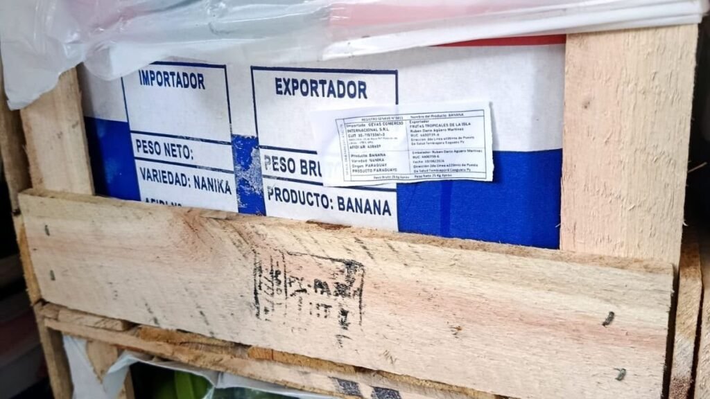 Decomisan cargamentos de banana y queso ilegal en Jujuy