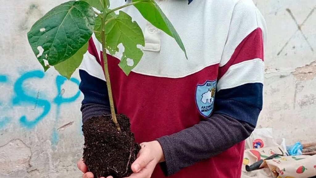 Alumnos de 13 escuelas de Jujuy aprenden a cultivar sus alimentos