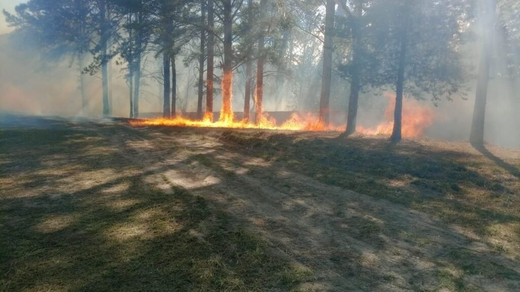 Jujuy inicia la temporada crítica de incendios forestales
