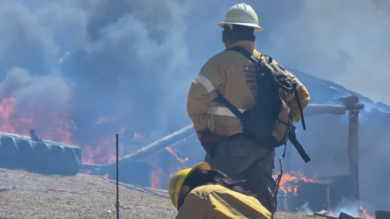 Incendio forestal activo en Chilcayoc, Volcán
