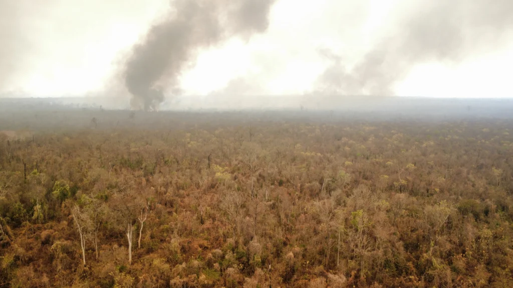 Incendio forestal en Yuto, cerca de Caimancito, Jujuy, en una imagen de archivo de 2022
