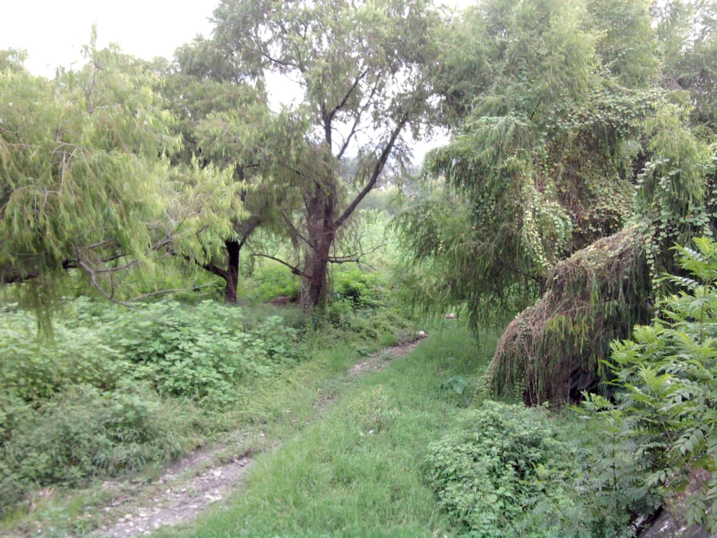 Vista de la avenida 19 de Abril y el entorno del río Xibi Xibi en San Salvador de Jujuy, sede del Paseo de las Plantas