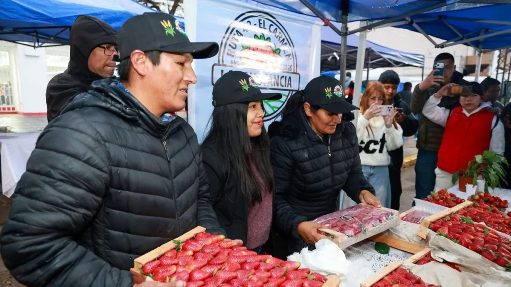 El Frutillazo impulsa la producción de frutilla en Jujuy