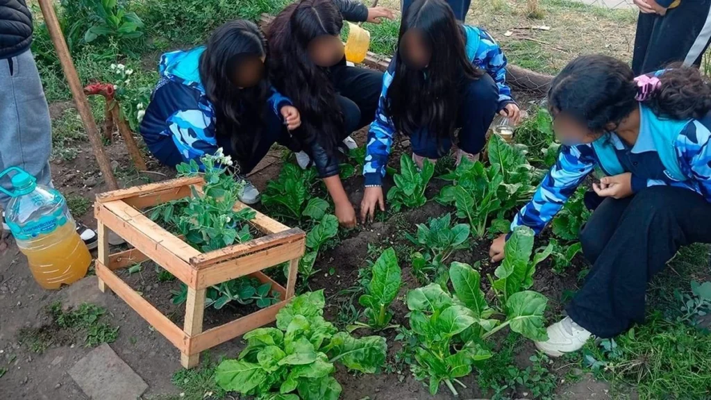 Huertas escolares en Jujuy: cómo aprenden los chicos