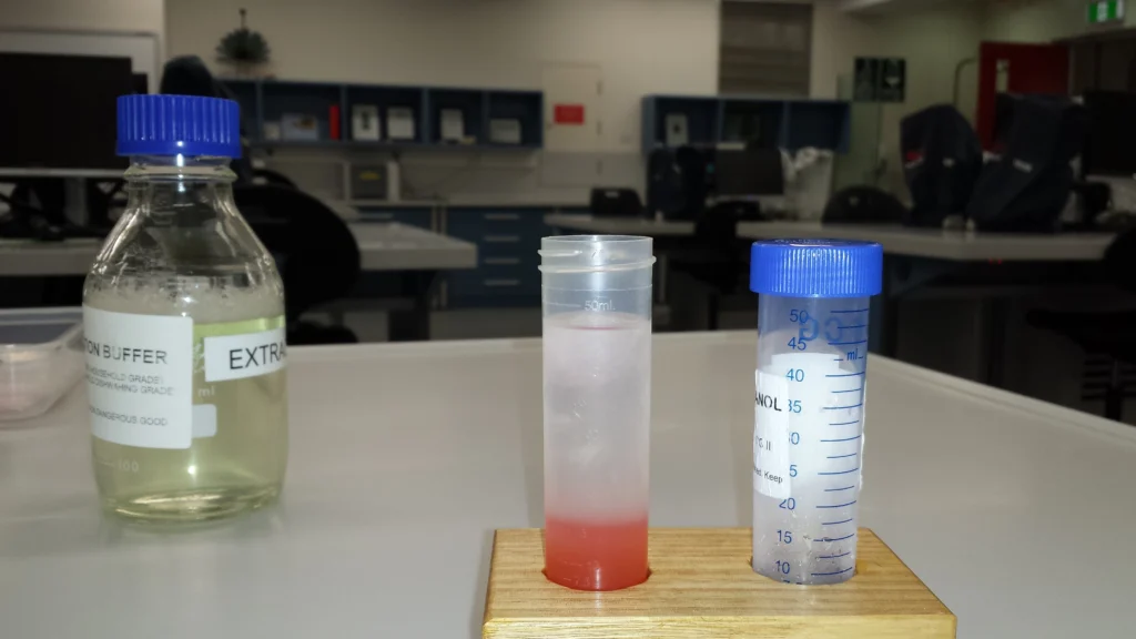 Frascos y reactivos químicos en un laboratorio, fotografía ilustrativa de instrumental científico.