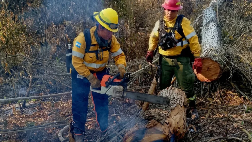 Jujuy: 101 incendios en septiembre y 523 hectáreas afectadas