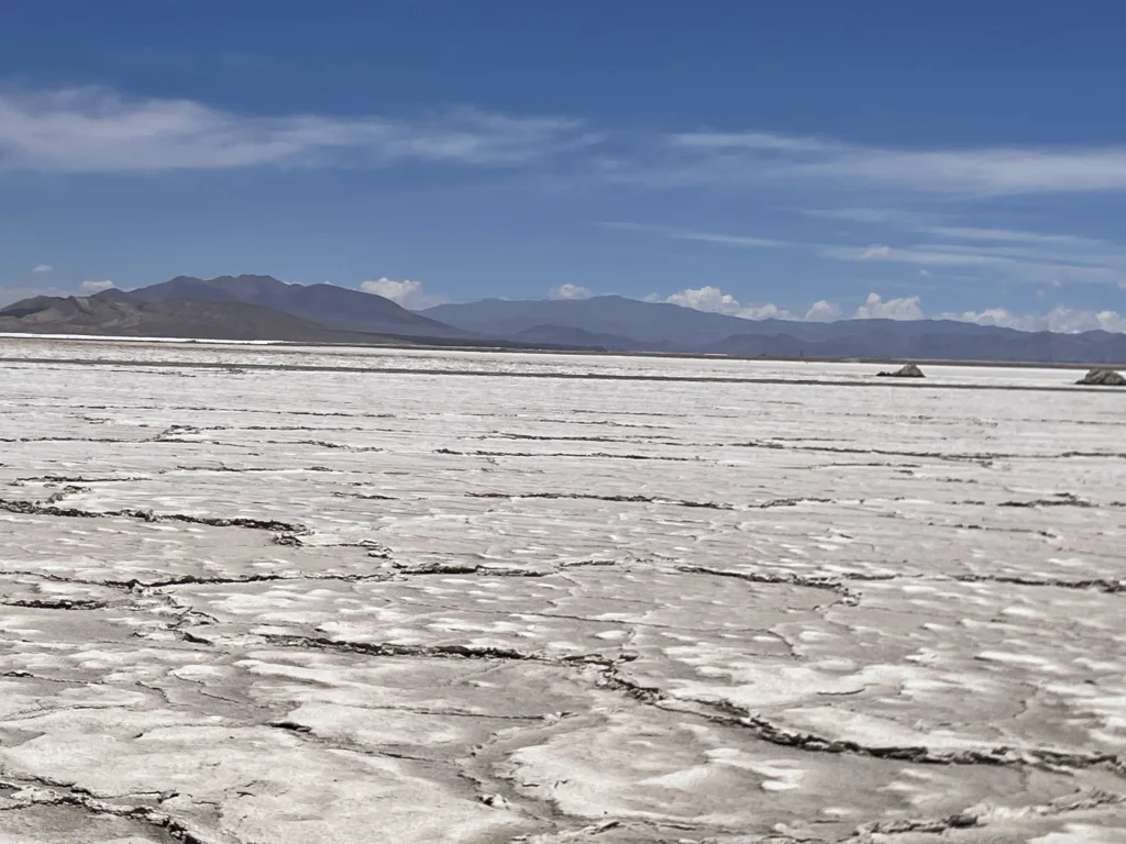 Salar del Hombre Muerto, donde POSCO desarrolla el proyecto de litio Sal de Oro entre Salta y Catamarca.