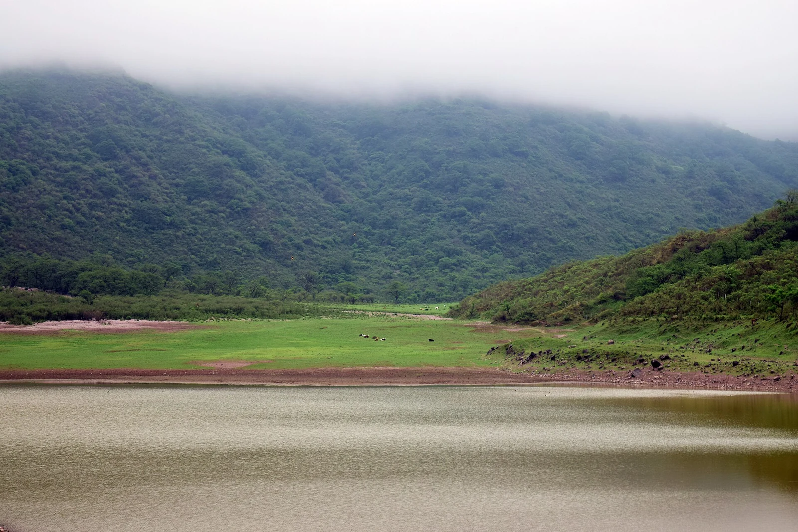 Laguna y laderas verdes en el entorno de las Lagunas de Yala, Jujuy. Fotografía de archivo.