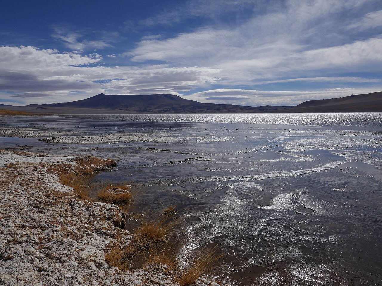 Paisaje de altura y laguna en el entorno del Paso de Jama, en junio de 2019.