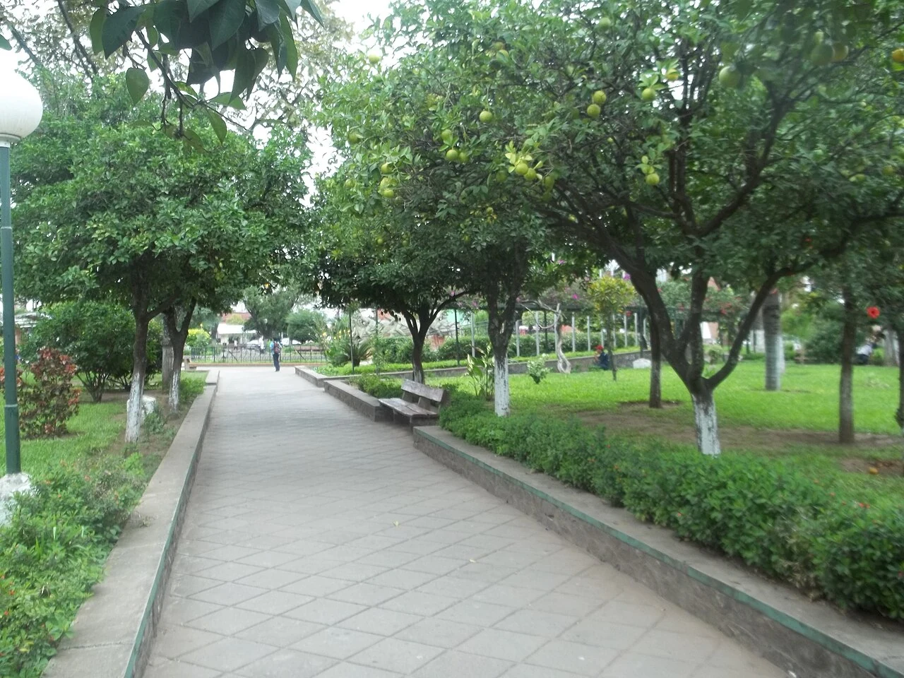 Plaza central arbolada de Libertador General San Martín, Jujuy. Fotografía de archivo.